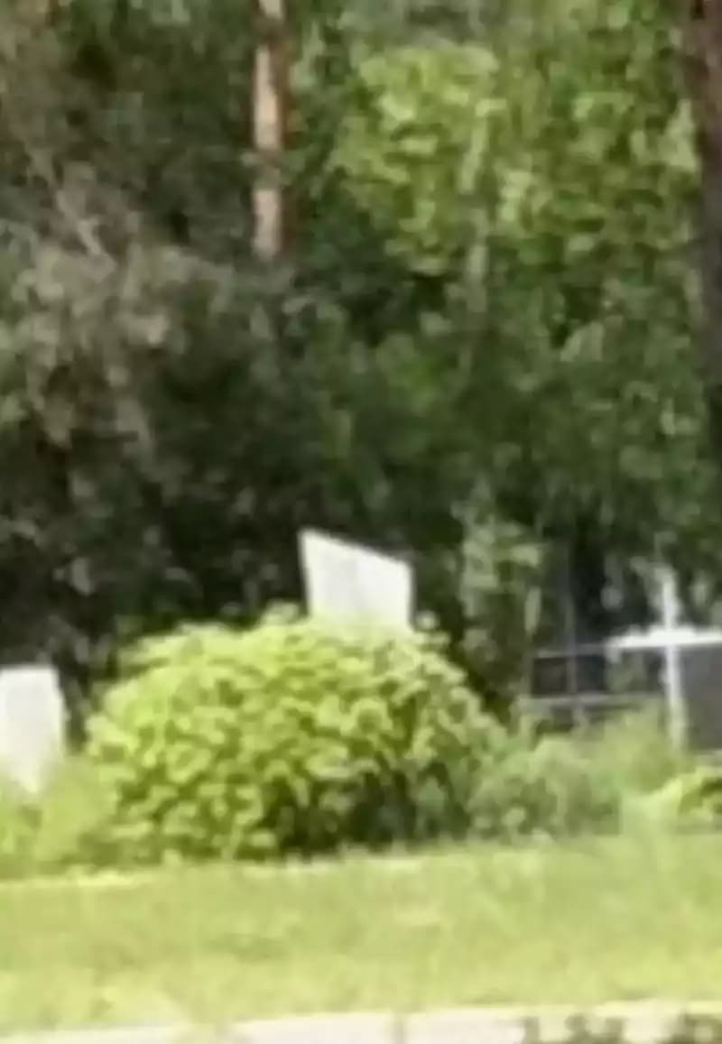 Nikita Olehovych Kyrychenko — burial place, photo 1