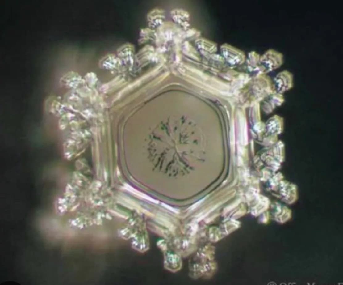 Masaru Emoto — photo 2