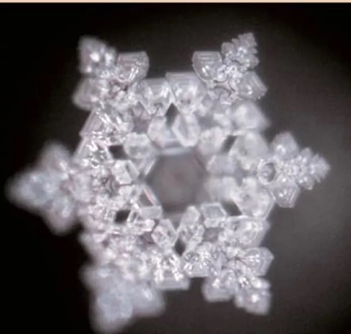 Masaru Emoto — photo 1